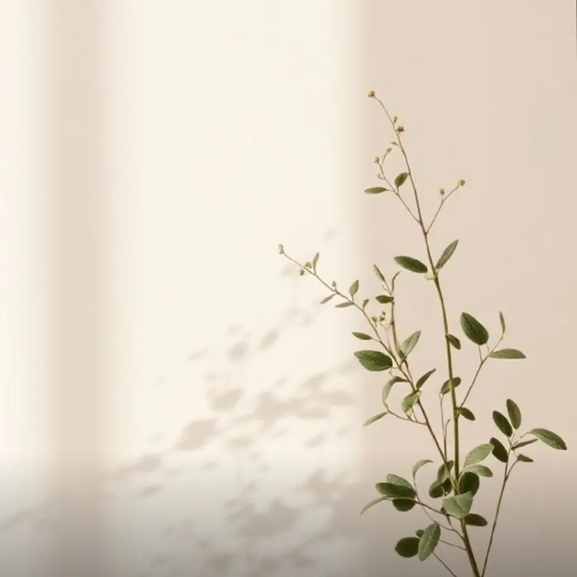 東條  LILY BABEの掲載