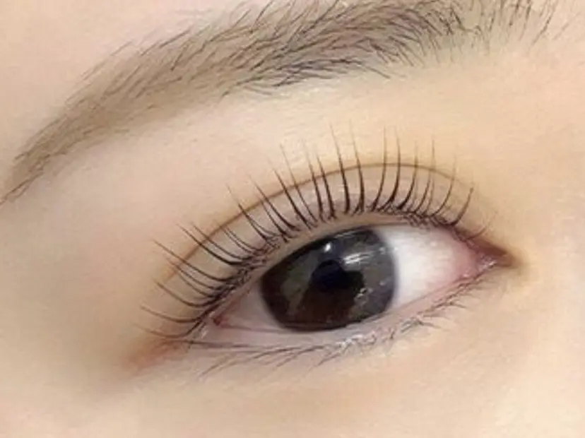 マリーテレジア SHIONの掲載