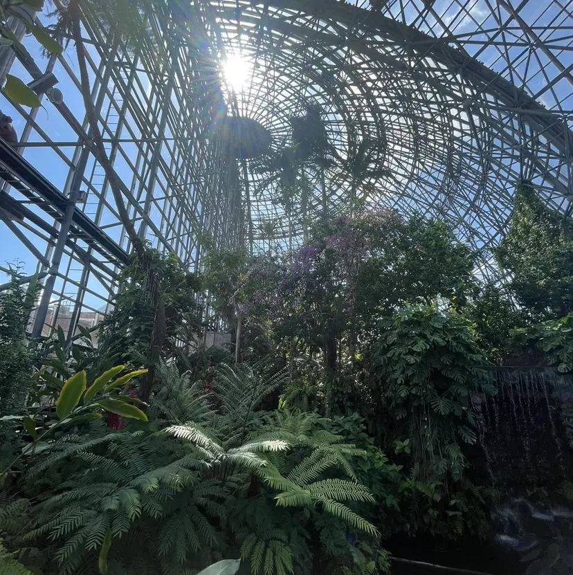 tokute 中野真咲🐺の掲載