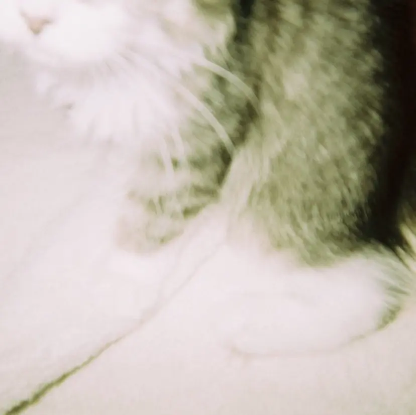 miyu  / 柔らかい透明感カラーの掲載