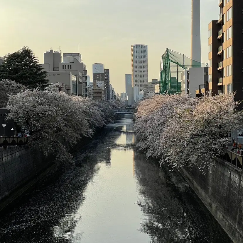 Men's NAM 八角の掲載