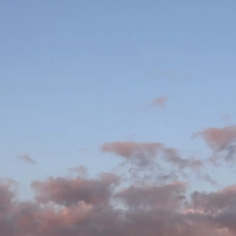 加藤 真子の掲載