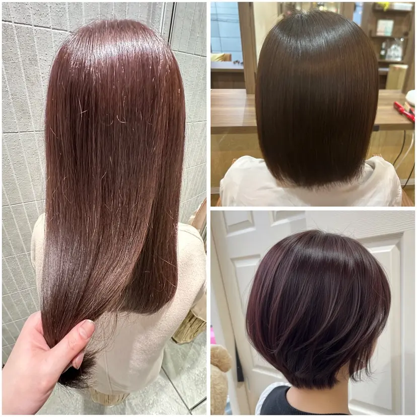 ササキ カンタの掲載