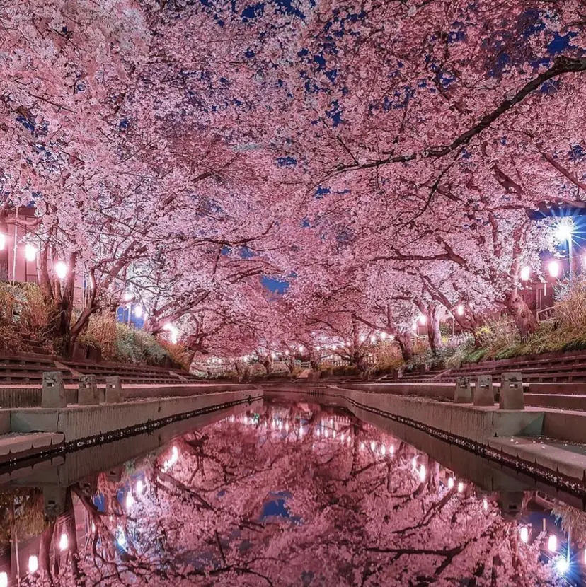 カットモデル募集中 ハルトの掲載