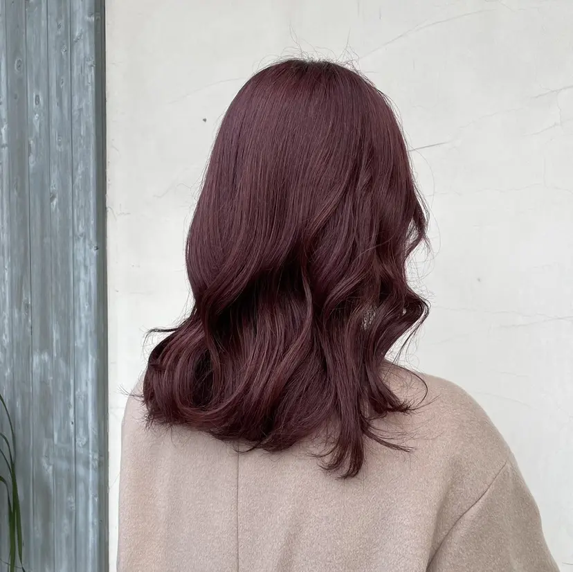 さかきばら すみえの掲載