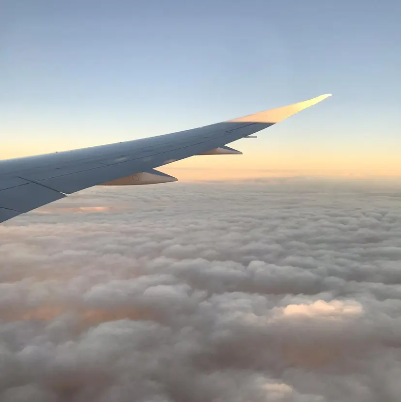 nana/ボブ/ レイヤー/梅田の掲載