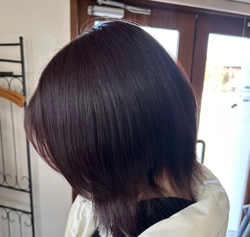 岡本 妃麗の掲載