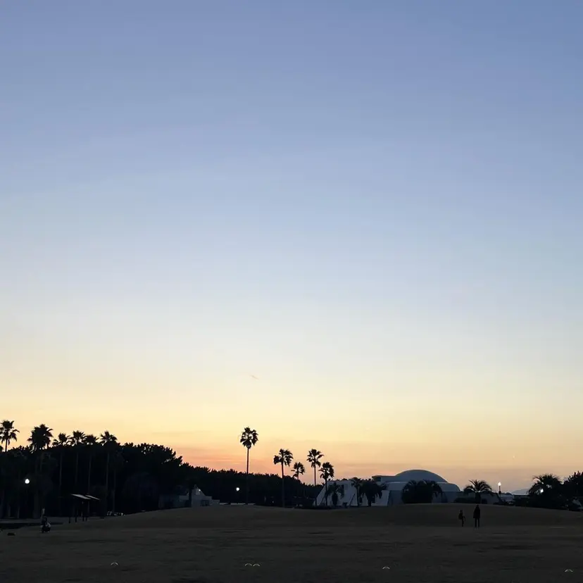 diarblue 今村の掲載