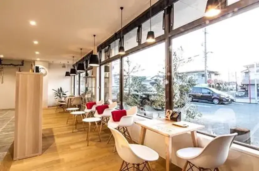 加藤 立夏の掲載