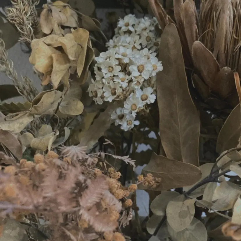 🌷さかもと みほ🌷の掲載