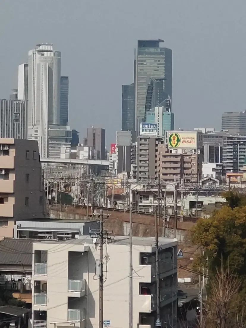 嘉和知 由美の掲載