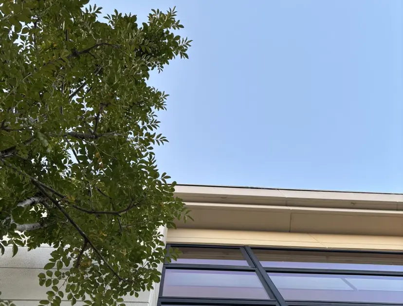 Mizuki. / 暖色系カラー🍓の掲載