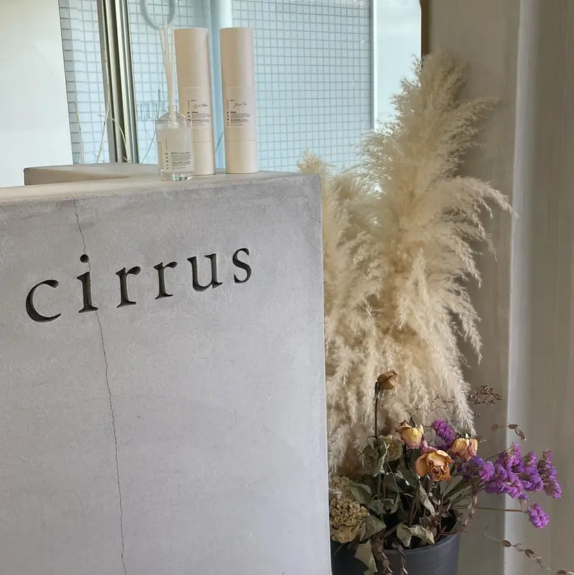 cirrus 🌻 misakiの掲載