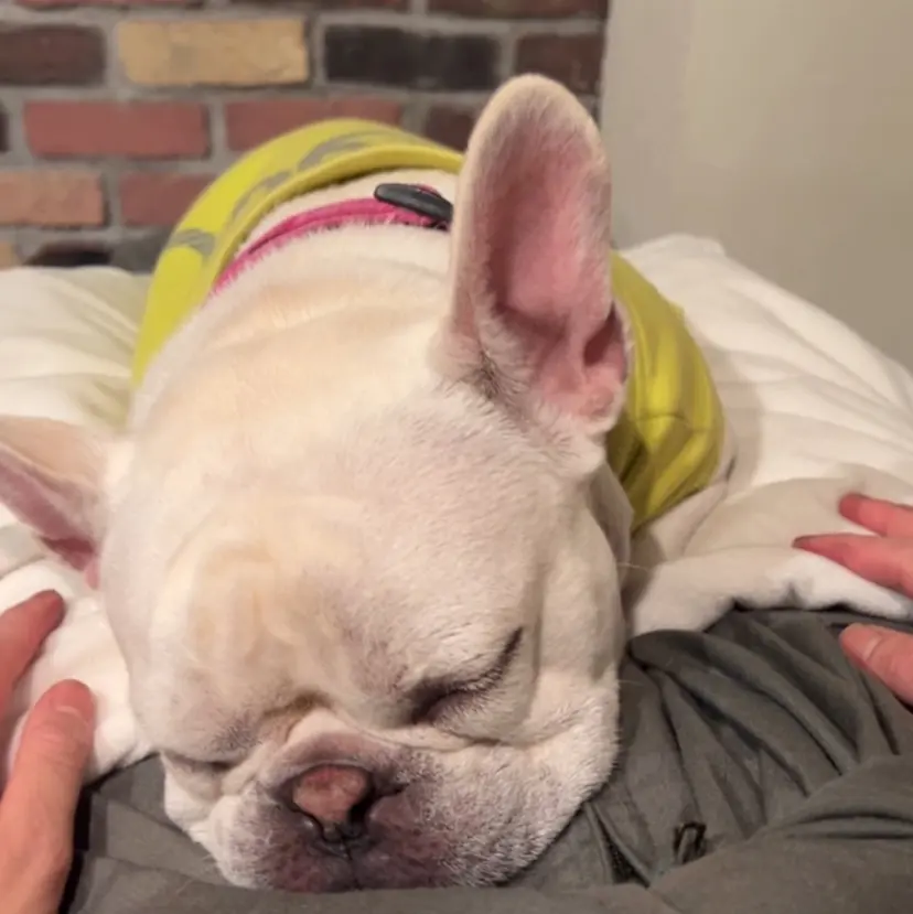 立川 萌凪の掲載