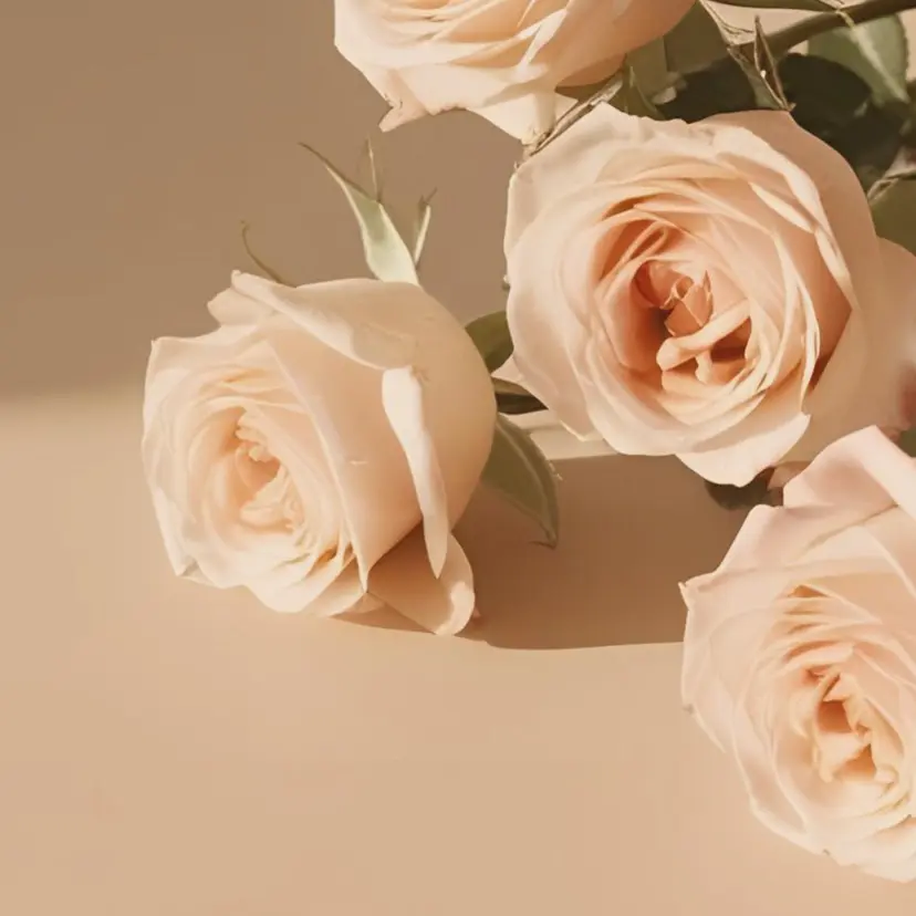 Luvory (ラヴォリー)の掲載