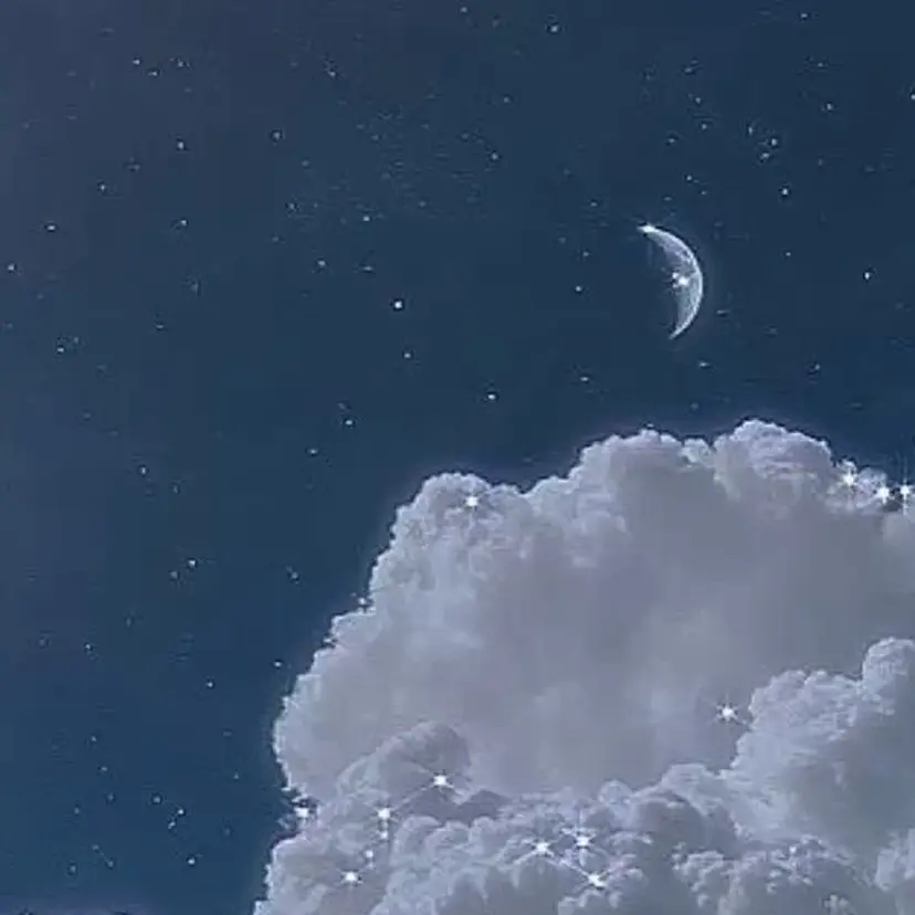 モデル募集🌙.* NeNeの掲載