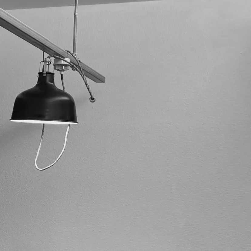 LMN Rei🐰ᩚの掲載