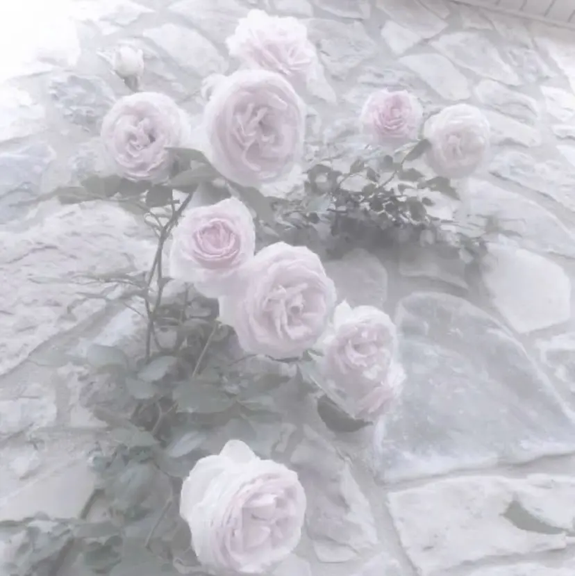 MAQUM𖤐 Satsumiの掲載