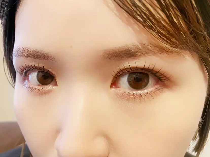 門前仲町zekka Kaの掲載