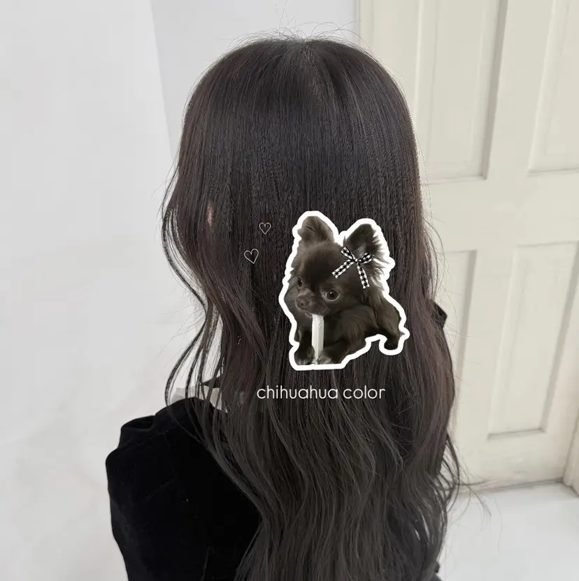 ︎ こみちの掲載