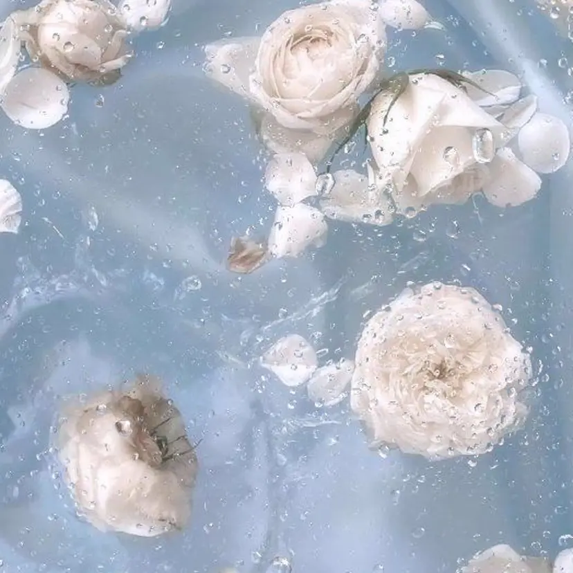 加藤 亜実の掲載