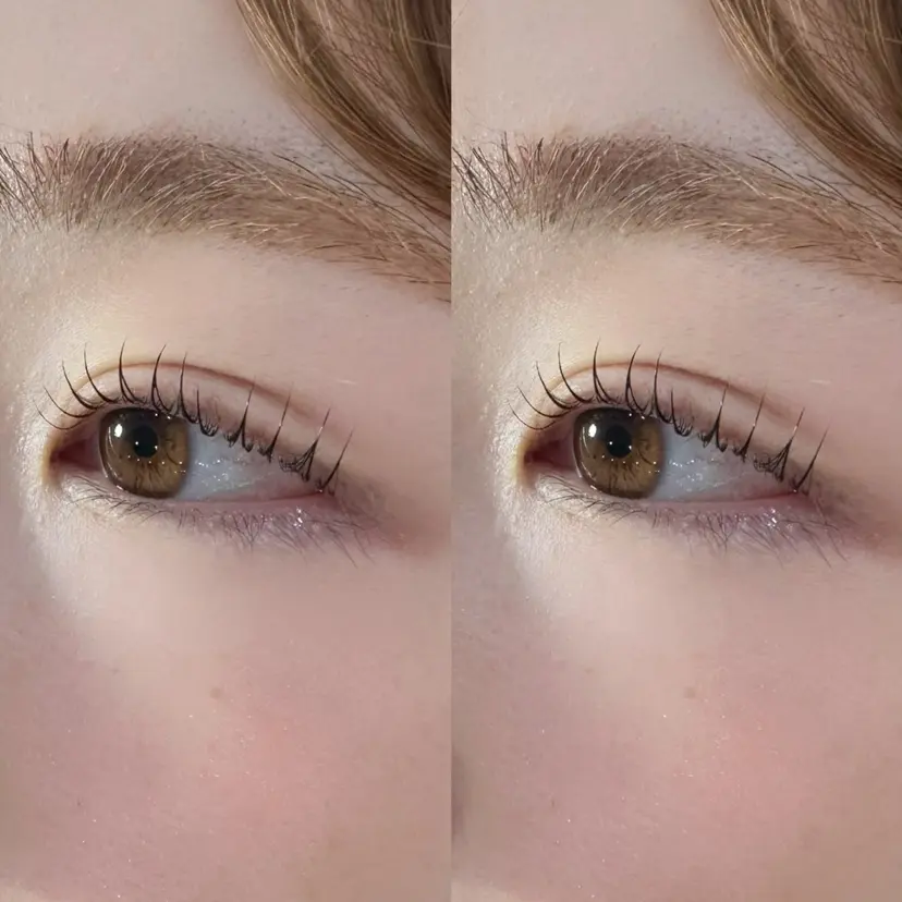 マリーテレジア 🍬KOJIMAの掲載