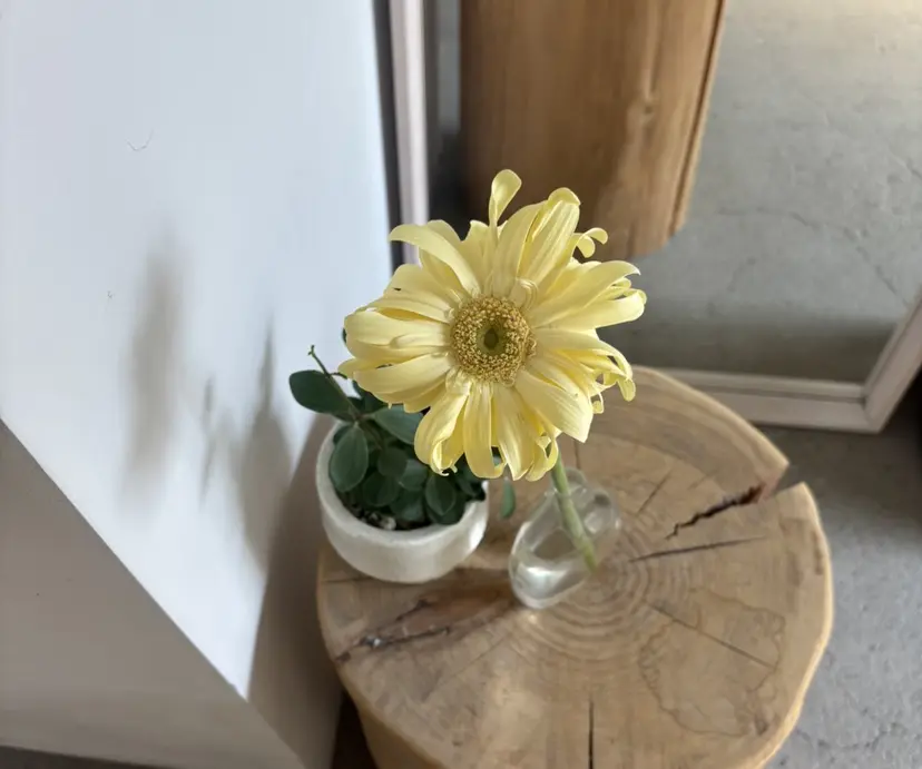 TRENCH chikaの掲載