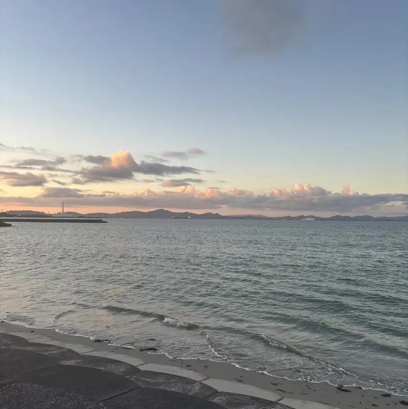 Lico Himeko👒の掲載