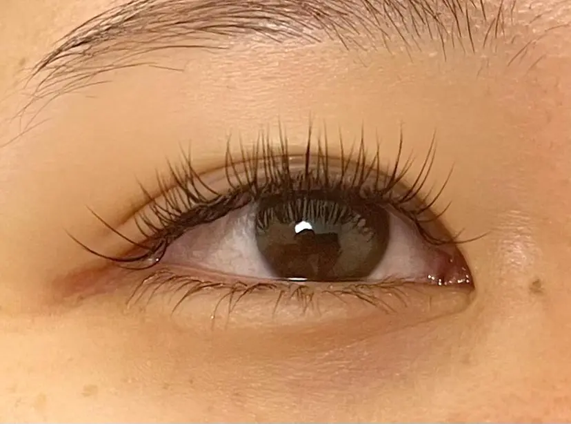 perky 羽島の掲載