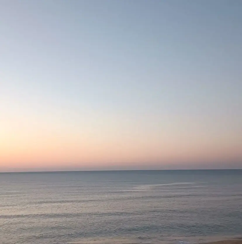 🫧ナチュ惹かれヘア 🫧前野志帆の掲載