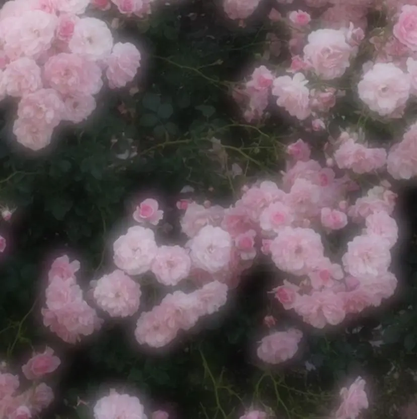 Ash koume᧔♡᧓の掲載