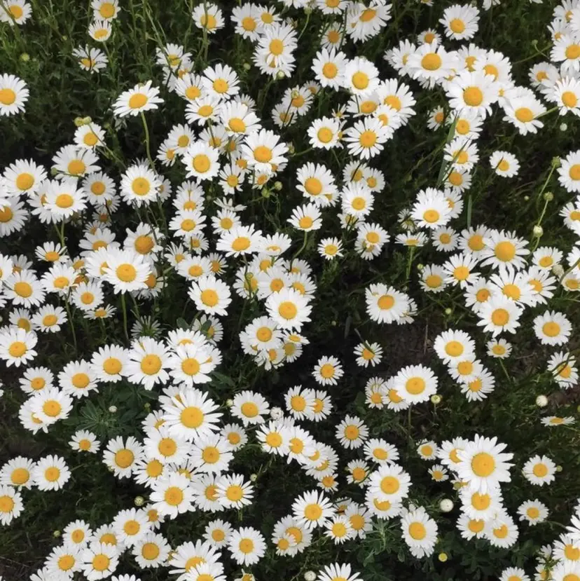 GRANDEUR焼津 Nana🦖の掲載