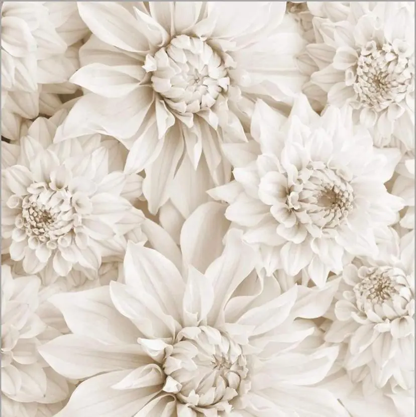 【 RILUNA 】 三鷹の掲載