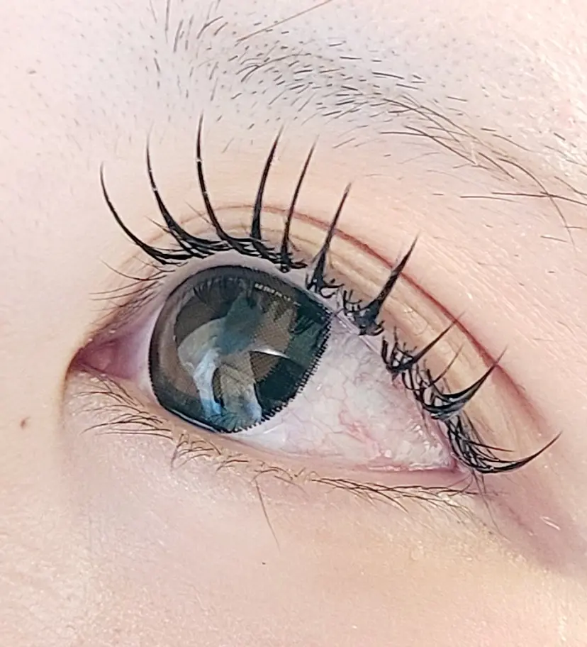 セレビアイ/ ISHIIの掲載