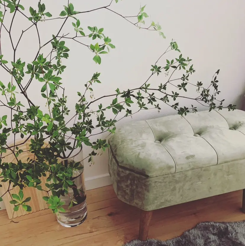 GinGer nail salonの掲載