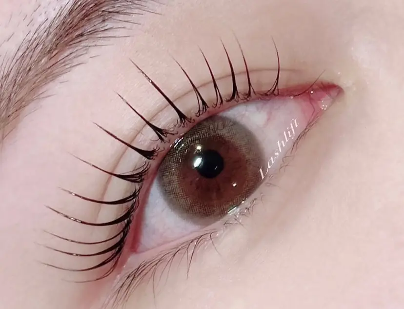 松浦 莉央の掲載