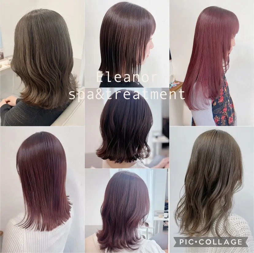 ふわっとレイヤー 🪽スガヤハルミの掲載