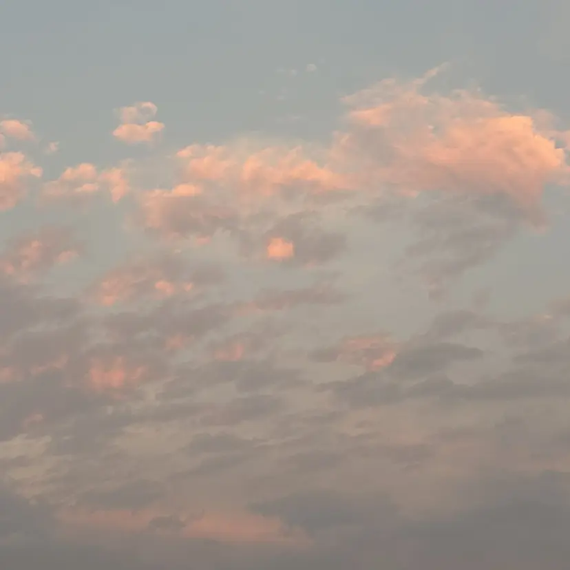 個室サロン🌼万希 ヘアケア/ヘッドスパの掲載