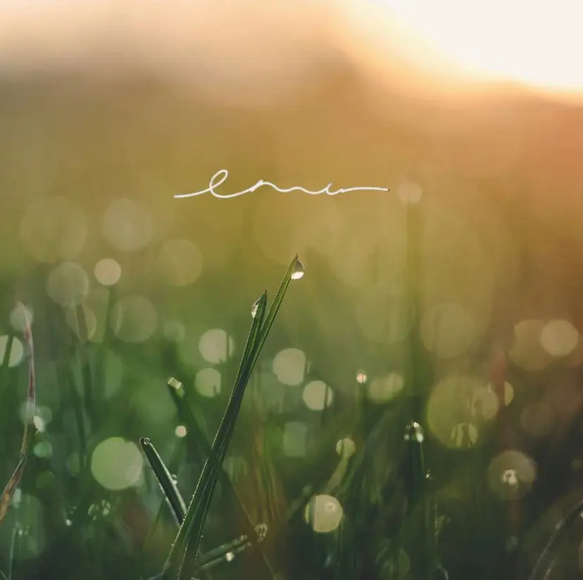 nail salon émuの掲載