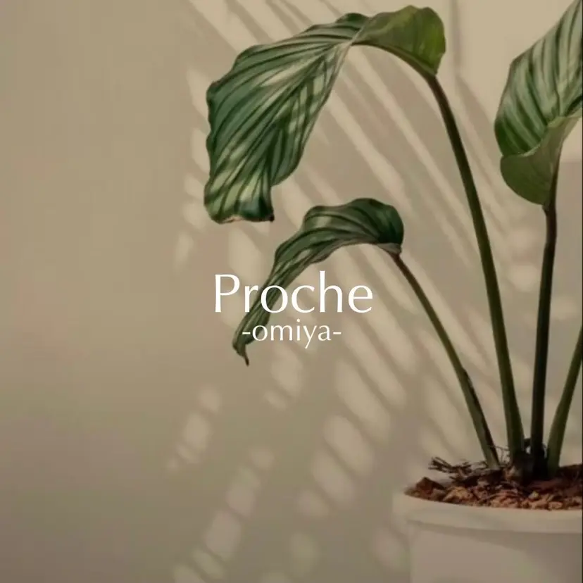 Proche makikoの掲載