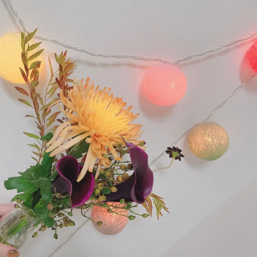 まつげまゆげ専門 ひさみの掲載