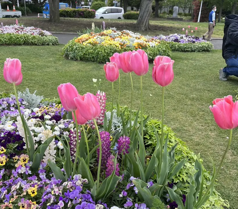 ダブルカラー募集中/ 漆谷妃茉莉🌷の掲載