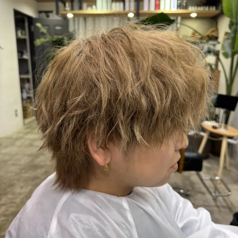 和田 奏斗の掲載
