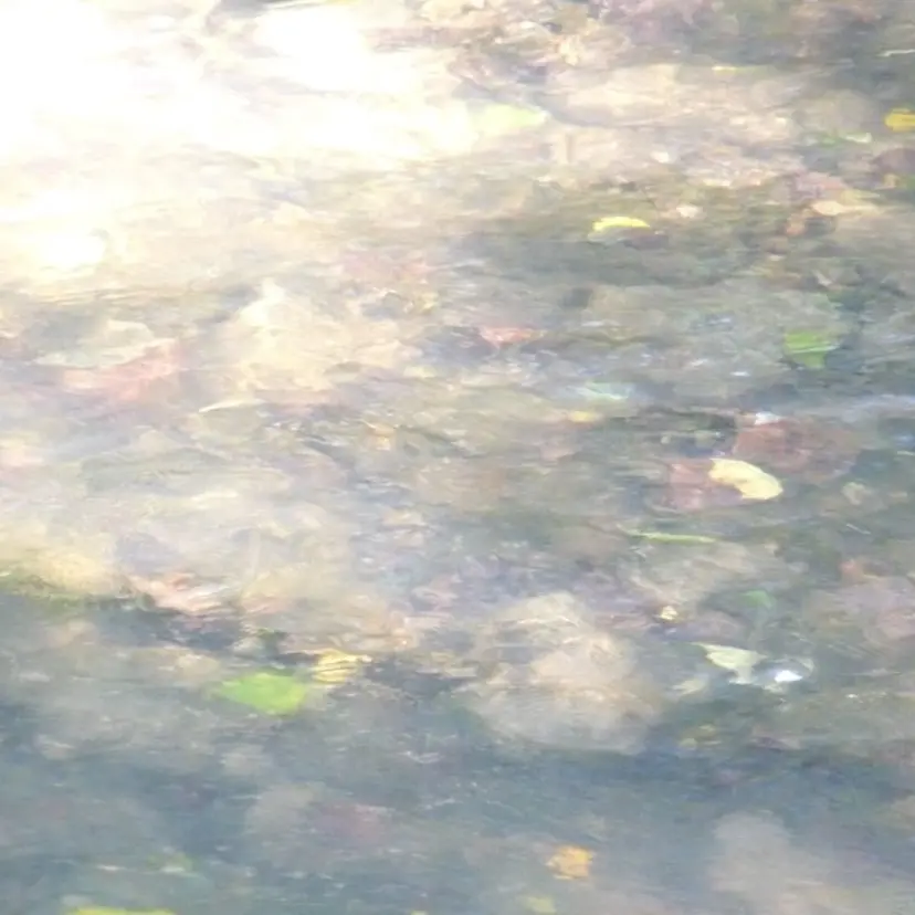 Yuzu ˖ ࣪⊹の掲載