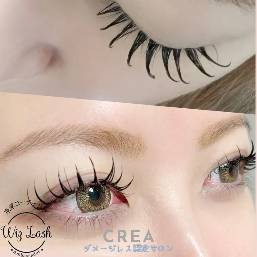 eyelash CREAの掲載