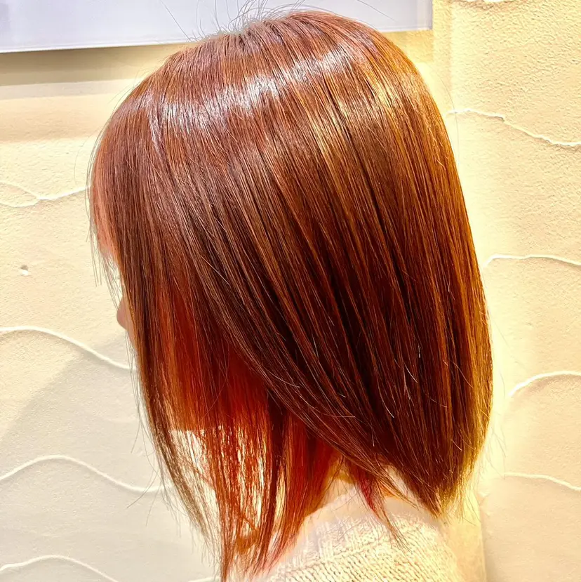 ヤマグチ リョウの掲載