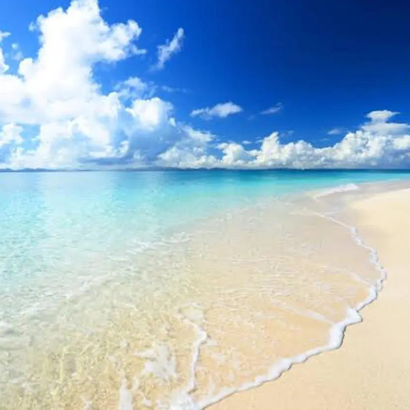 studio zen SUZUNAの掲載