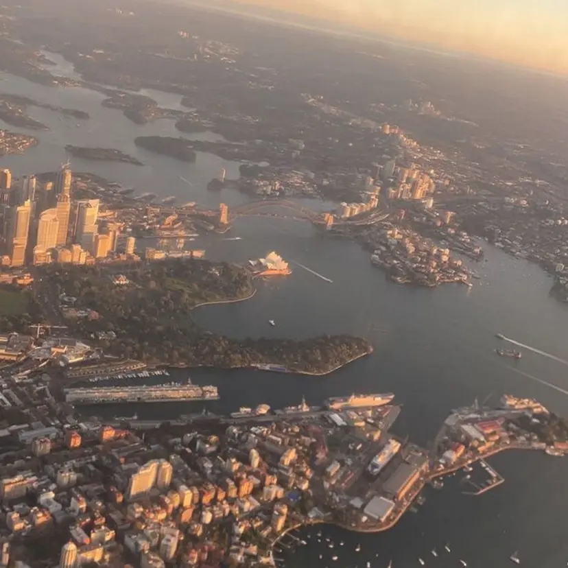 YUZU 🤖💎の掲載