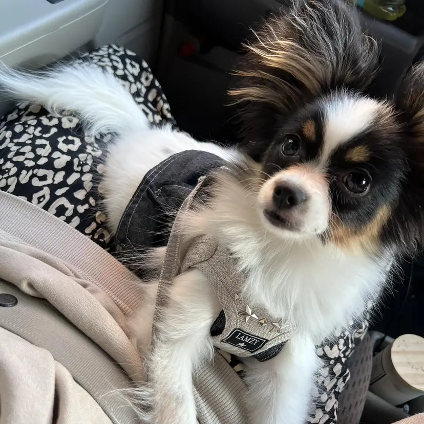 uri☺︎︎ natsumiの掲載