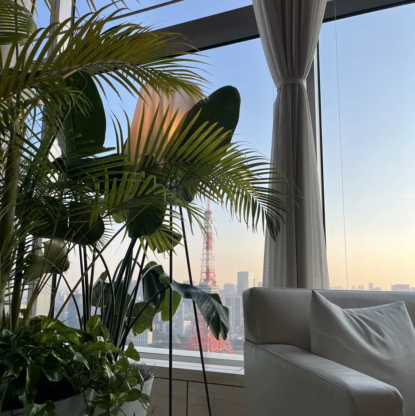 心晴 🧚🏻✨の掲載